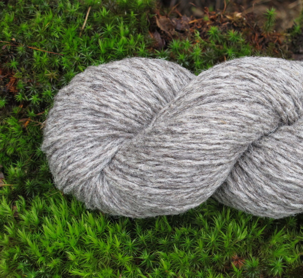 Pure laine naturelle France grise aiguilles 5,5